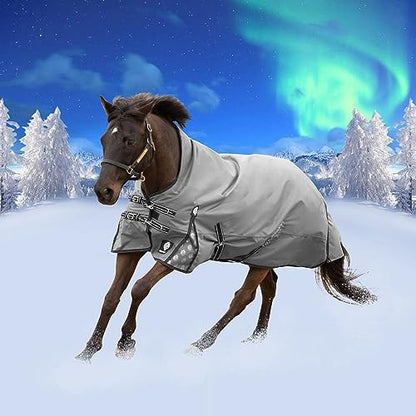 Equinavia Arktis Extended Neck Mid Weight Turnout Blanket 200g - Charcoal Gray - 81 in - color: Charcoal Gray, size: US 81 in