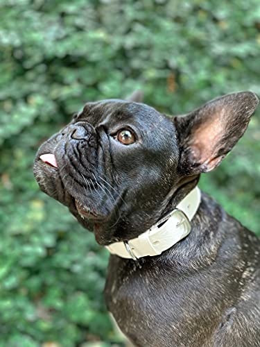 Tuff Pupper Heavy Duty Waterproof Dog Collar for Small, Medium & Large Dogs - color: Snow White
