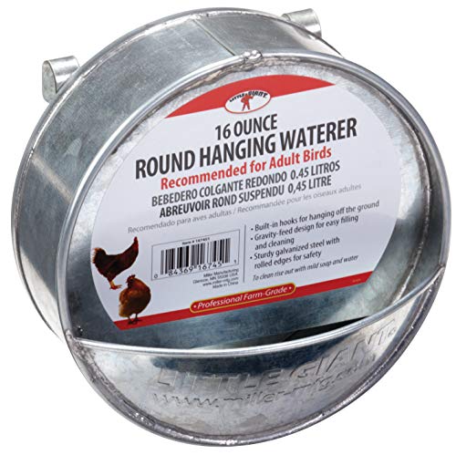 Little Giant® Hangable Poultry Waterer| Galvanized Round Hanging Poultry Waterer | Hanging Chicken Waterer | Chicken Canteen - size: 1Pint