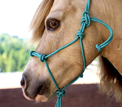 Mini-Pony 4 Knotted Rope Halter & 8' Lead Set (Teal, Small 28-32" Mini) - color: Teal, size: Small 28-32" Mini