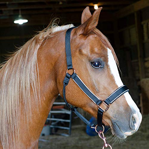 Derby Originals Rose Gold Stable & Breakaway Reflective Safety Horse Halters with Matching Lead & One Year Warranty