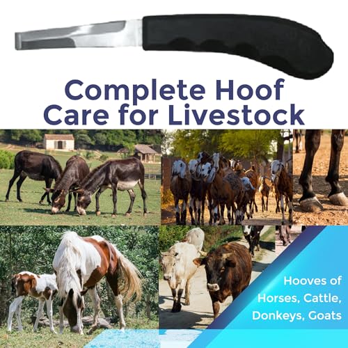 Regular Hoof Knife for Horses – Farrier Tool with Plastic Grip – Hoof Trimming Knife for Equine Care & Veterinary Use (Semi-Wide Blade) - style: Semi-Wide Blade - RH