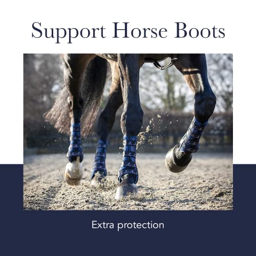 LeMieux Support Horse Boots - Protective Gear and Training Equipment - Equine Boots, Wraps & Accessories - size: Large