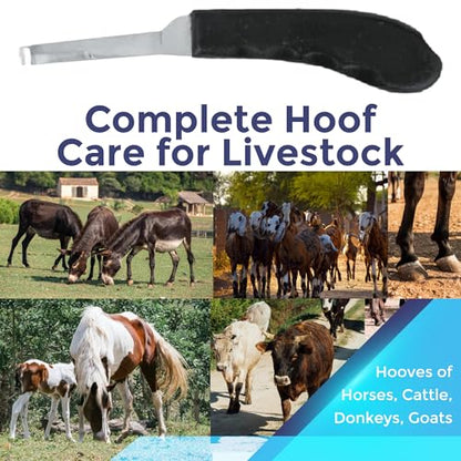 Regular Hoof Knife for Horses – Farrier Tool with Plastic Grip – Hoof Trimming Knife for Equine Care & Veterinary Use (Narrow-Blade) - style: Narrow-Blade - RH