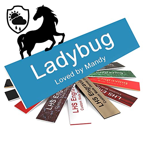 Personalized Horse Stall Name Plates, 2x6 Horse Stall Signs with Adhesive, All Weather UV Protected, Light Blue Plastic White Letters - Made in USA - B1 - color: B1 - Lt. Blue/White, size: 2in x 6in (5.1cm x 15.2cm)
