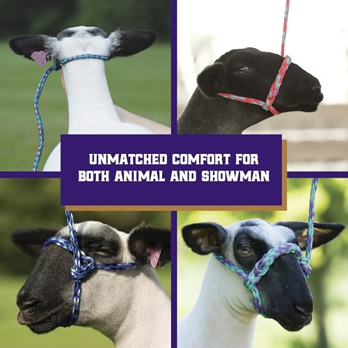 Weaver Livestock Poly Rope Sheep Halter, Modern Style Braid Sheep and Goat Rope Halter, Adjustable Lamb Halter Lead, Livestock Sheep Showing Supplies - color: Blue/Black/Gray