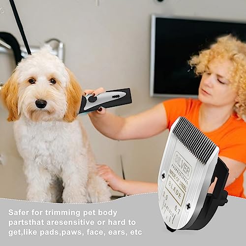 5 in 1 Replacement Blades Compatible with WAHL Bravura .Chromado - color: Silver