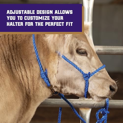 Weaver Livestock Braided Poly Rope Cattle Halter, Adjustable, Modern Style Cow Calf Halter, Livestock Handling Equipment for Showing, Blue - color: Blue, size: One Size