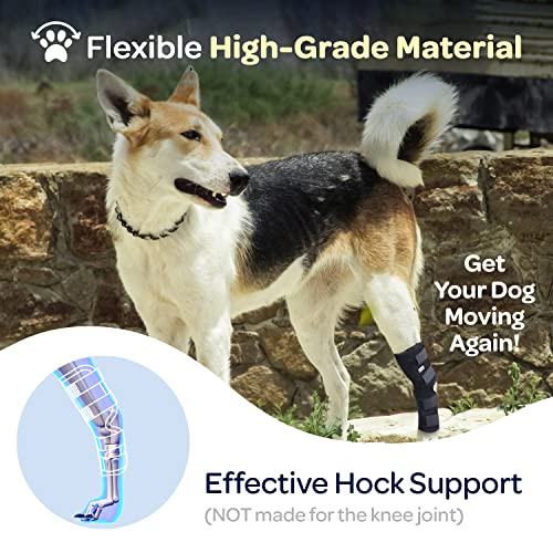 Labra Dog Rear Leg Hock Joint Compression Wrap - Supportive Brace for Weak Back Legs, ACL Tear, and Joint Discomfort - Adjustable Hind Leg Support for Senior Dogs - Medium - size: Medium