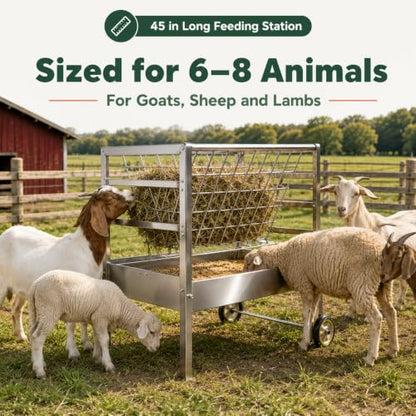 Hay and Grain Feeder Portable Sheep Feeder for 6-8 Goats Lambs