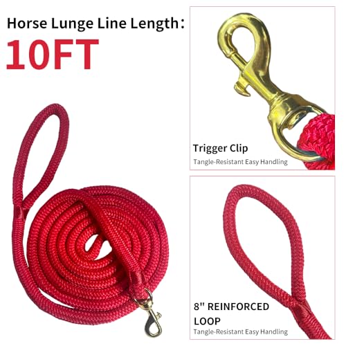 Double Braided Nylon Horse Lead Rope with Snap Hook, Black, 10 FT, Durable Lightweight (Red, 10FT) - color: Red, size: 10FT