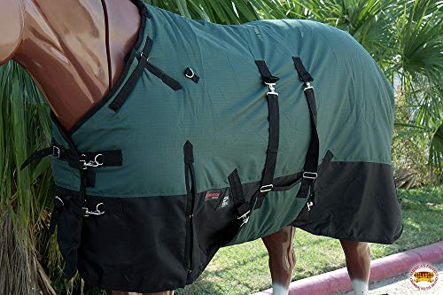 HILASON 600D Waterproof Winter Turnout Blanket Hunter Green 81in - size: 81 In