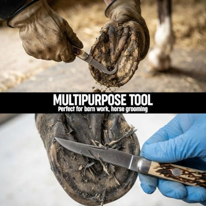 SZCO Supplies 3.75" Dual Blade Hoof Knife – Stainless Steel Hook and Clip-Point Blades, Durable Bone-Style Handle, Multi-Use Folding Utility Knife for Ranch, Barn, Camping, and Outdoor Knife
