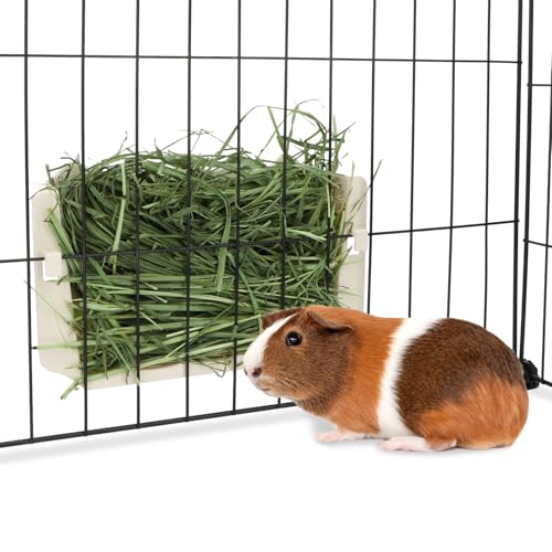 Hypeety Rabbit Hay Feeder Automatic Hay Rack for Guinea Pigs, White - color: White, size: 1pc