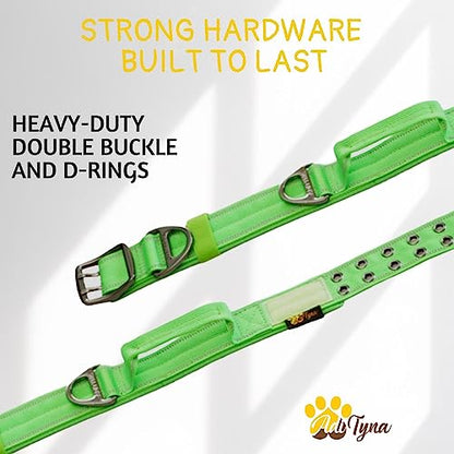 ADITYNA Heavy Duty Dog Collar for Medium Dogs with Traffic Handle - color: Green, size: Medium: Fit 15-19" Neck