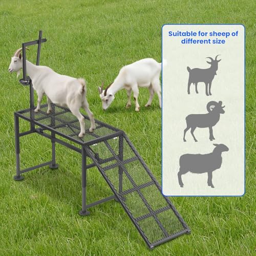 Adjustable Goat Milking Stand – Heavy Duty Steel Grooming & Trimming Platform with Ramp for Sheep & Goats – Livestock Milking Station, Height 18.5 to 28.8 Inches