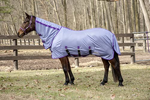 TuffRiderBlanket - color: Purple, size: 81