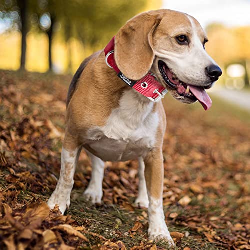 TSPRO Heavy Duty Thick Dog Collar with Metal Buckle for Small Dogs - color: Basic Red, size: S – Fits Neck 12.6"-15.8"