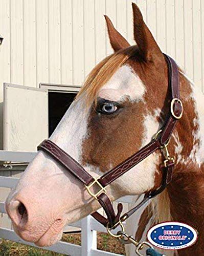 Derby Originals Fancy Stitch Padded Adjustable Leather Halter Opulence Series Liverpool (Havana, Draft)