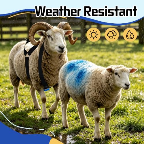 Replacement Marking Crayon Blocks for Ram Breeding Harness (Blue) - color: Blue