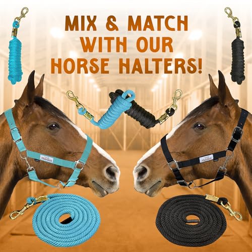 Prairie Horse Supply 10ft Poly Lead Rope With Brass Snap Link, Black - Heavy Duty Polypropylene, Soft Training Lead for Horses - Ideal for Equestrian Use