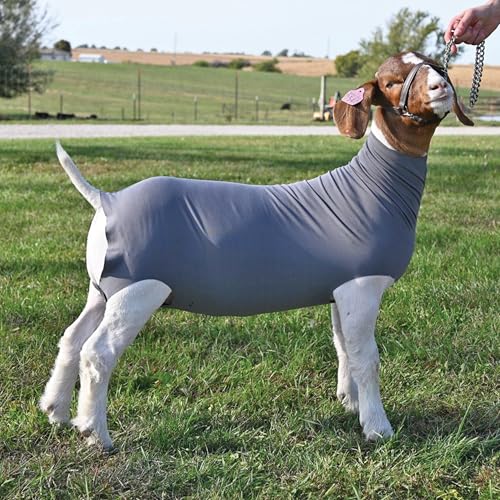 Weaver Livestock Spandex Goat Tube - size: Medium, style: Gray