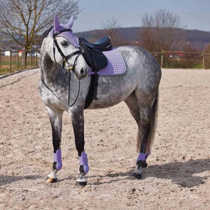 HORZE Adepto Open Front Tendon Boots | Durable Shell with Neoprene Lining - Languid Lavender Purple - Pony - color: Languid Lavender Purple, size: Pony