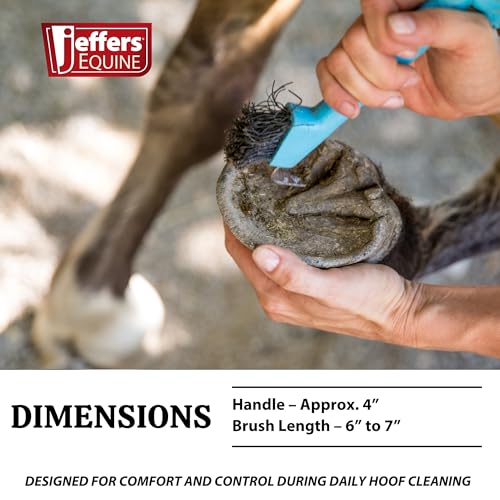 Jeffers 2 in 1 Horse Hoof Pick & Brush Combination Tool, 4" handle - Blue - color: Blue