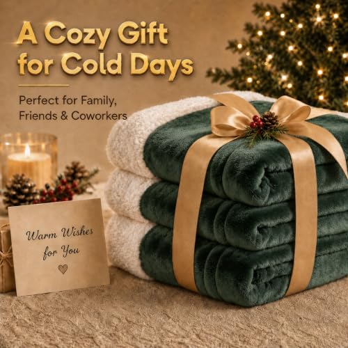 Heated Blanket Electric Blanket Full Size 72''x84'' with 5 Heat Settings, 10 Hour Auto Off, Machine Washable, Flannel & Sherpa Soft Warming Blanket for Couch, Bed, Office - Grass Green - color: 04-grass Green, size: 72''x84''(Full)