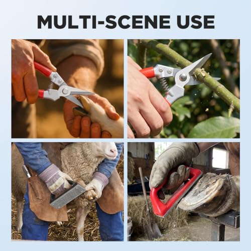 Goat Hoof Trimmers Shears Kit with Rasp, Sheep Care Tool Red Black - color: Red Trimmers Black Rasp