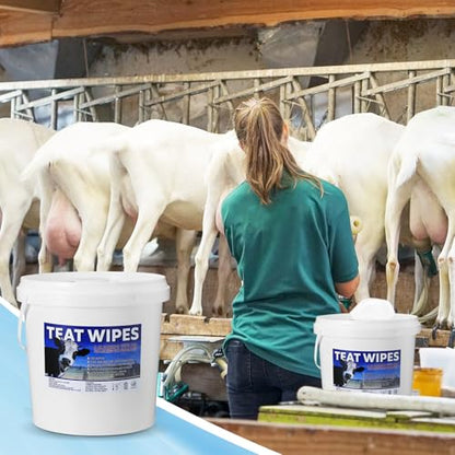 Nuanchu 700 Pieces Teat Wipes Cow Goat Sheep Udder Prep Goat Udder Wipes 7 Inch x 8 Inch Moisturizing Wipes Reclosable Pail for Goat Milking Supplies