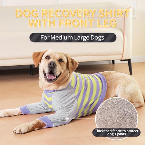 FUAMEY Dog Recovery Sleeve with Elbow Protector Purple Stripes S | Dog Shirt Stop Licking Joints, Long Sleeve Suit, Protecting Front Leg Arm, Wounds Cover Skin Conditions,Alternative to Cone - color: Purple Stripes, size: S(Weight:20-28lbs)