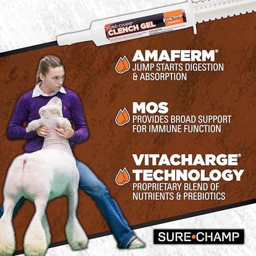 SURE CHAMP® Clench Gel, 30ml