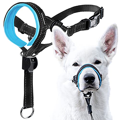 GoodBoy Dog Head Halter with Safety Strap - Stops Heavy Pulling On The Leash - Padded Headcollar for Small Medium and Large Dog Sizes - Head Collar Training Guide Included (Size 2, Blue) - color: Black Nylon / Blue Padding, size: Size 2 (Pack of 1)