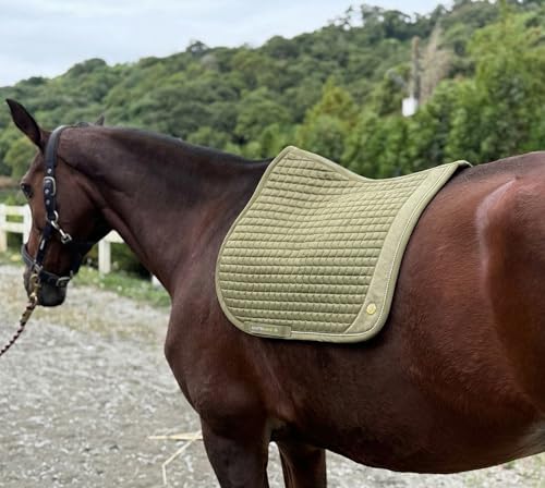 EQUINEWAVE GP Saddle Pad – Satin-Finish Quilted Design - color: Olive Green