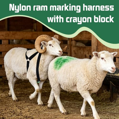 Ram Breeding Marking Harness &1 Marking Crayon for Goat Sheep,Green