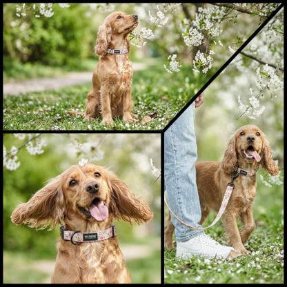 Tuff Pupper Premium Adjustable Dog Collar, Stylish Pattern Collars Designed in USA, Quick Release Buckle, Petal Blush Small (0.7 Inch Wide x 8-12 Inch Neck) - color: Petal Blush, size: Small