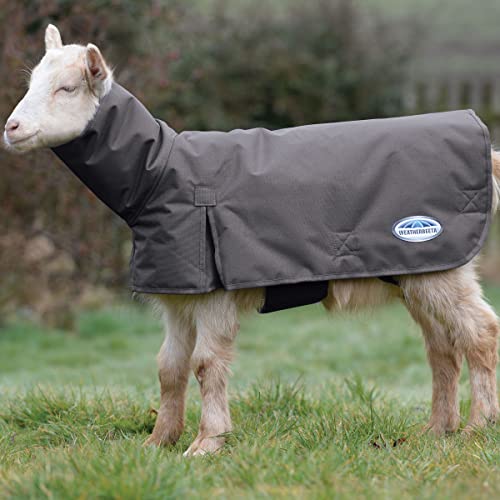 WeatherBeeta Goat Coat with Neck, Grey, Extra Small - color: Grey, size: XS