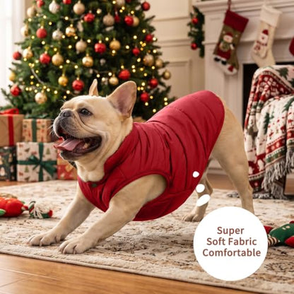 JoyDaog Fleece Lined Dog Jacket for Small Dogs,Winter Dog Coat,Red S - color: Red, size: Small