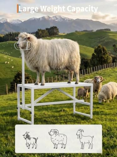 Garvee Goat Milking Stand, 47x23 Inch Livestock Stand, Metal Sheep Milking and Shearing Stand 21" to 33" Adjustable Height, with Headpiece and Nose Loop - color: White