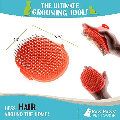Raw Paws Hand-Held Grooming Pin Brush for Dogs & Cats - Rubber Tipped | Rubber Cat Brush - Pet Grooming Tool - Massage Curry - For Small & Large Dogs, Small Pets & Horses - Long & Short Hair