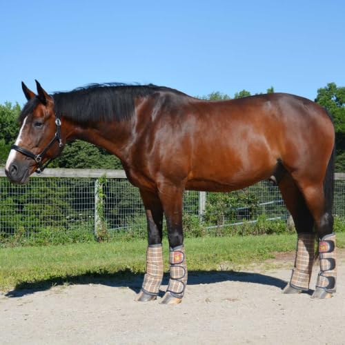 Baker Transport Boots Set of 4, Horse