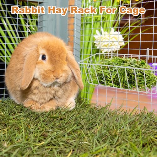6 Pack Rabbit Hay Feeder 9x4x3 Inch Heavy Duty with Hooks, White - color: White