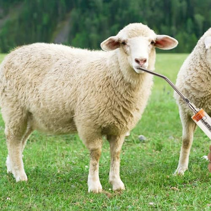 2Pcs Reusable Goat Drench Syringe with 2 Detachable Metal Drench Nozzles