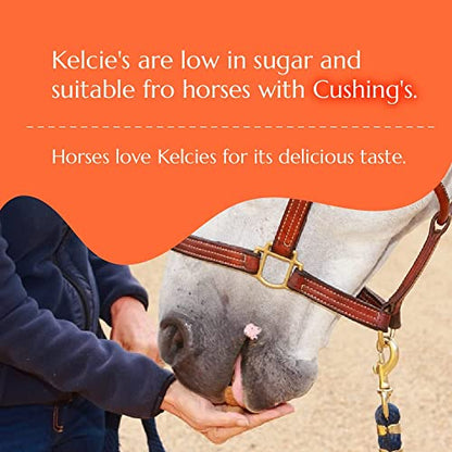 Kelcies Pumpkin Spice Horses Treats - Low Sugar, Starch, and Carbohydrates | Healthy Treats for Horse Supports Superior Digestion 5 Pound (1 Pack) - size: 5 Pound (Pack of 1)