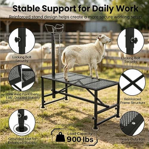 Goat Stand, 900 lbs Goat Milking Stand with 47 x 23 in Platform, 21 in to 33 in Adjustable Height, 42 in to 64.1 in Headpiece, Goat Trimming Stand for Grooming