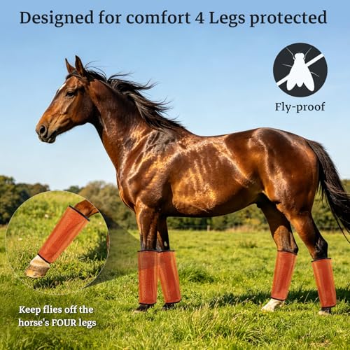 Mesh Horse Fly Boots, Set of 4, Orange - color: Orange