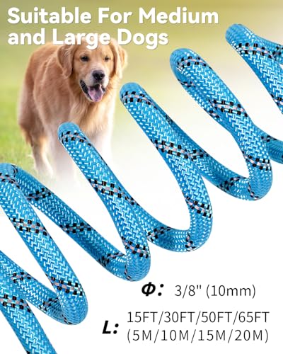 Joytale Long Dog Leash for Yard Tie Out & Recall Training, Blue, 15FT - color: Blue, size: 15FT