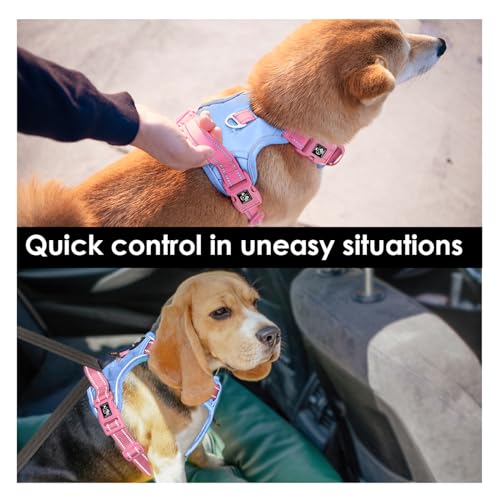PHOEPET No Pull Dog Harness, Unique Colors Reflective Adjustable Dog Vest - color: Baby Blue Base & Pink Straps, size: Medium