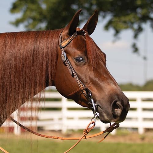 Schneiders Black Edged Ribbon Tooled One Ear Headstall | Elegant Argentine Leather | Rust-Resistant Hardware | Horse Headstall for Work, Ranch, and Trail Riding | Size Full Horse